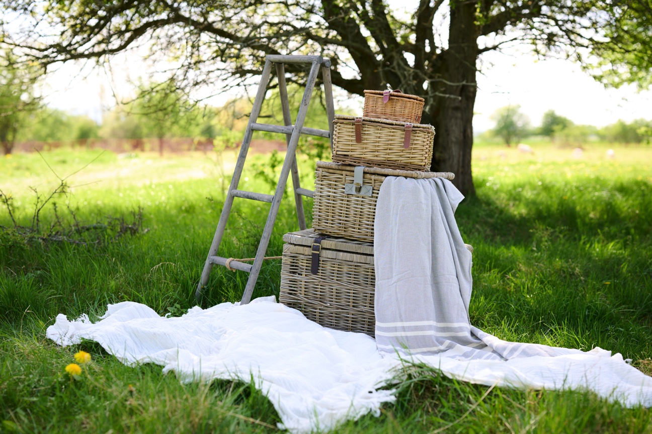 https://carolin.photography/